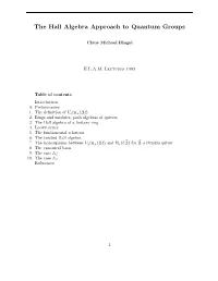 The Hall Algebra Approach to Quantum Groups