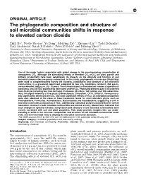 The Phylogenetic Composition and Structure of Soil Microbial Communities Shifts in Response to Elevated Carbon Dioxide