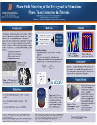 Phase Field Modeling of the Tetragonal-To-Monoclinic Phase