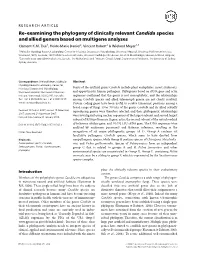 Reexamining the Phylogeny of Clinically Relevant Candida Species