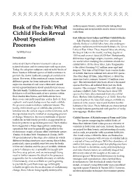 Beak of the Fish: What Cichlid Flocks Reveal About Speciation Processes