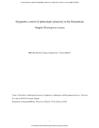 Epigenetic Control of Phenotypic Plasticity in the Filamentous Fungus