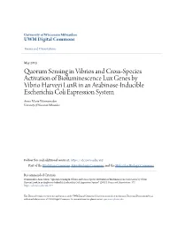Quorum Sensing in Vibrios and Cross-Species Activation Of