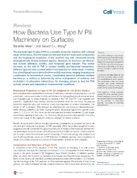 How Bacteria Use Type IV Pili Machinery on Surfaces