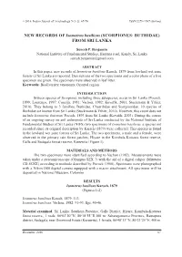 NEW RECORDS of Isometrus Basilicus (SCORPIONES: BUTHIDAE) from SRI LANKA