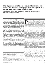 Overexpression of C-Myc in ␤-Cells of Transgenic Mice Causes Proliferation and Apoptosis, Downregulation of Insulin Gene Expression, and Diabetes D