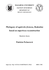 Phylogeny of Squirrels (Sciurus, Rodentia) Based on Supertrees Reconstruction