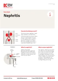 Nephritis Fact Sheet