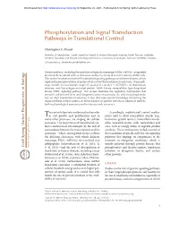 Phosphorylation and Signal Transduction Pathways in Translational Control
