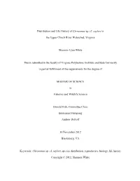 Distribution and Life History of Chrosomus Sp. Cf. Saylori in The