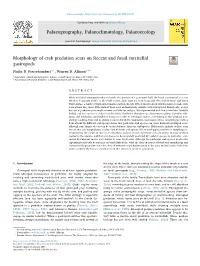 Morphology of Crab Predation Scars on Recent and Fossil Turritellid T Gastropods ⁎ Nadia D
