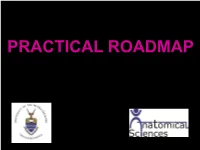The “Road Map”