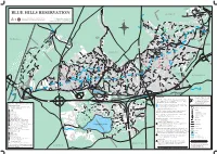 Blue Hills Reservation Fields