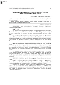 Historical Background of the Trust