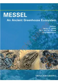 MESSEL an Ancient Greenhouse Ecosystem