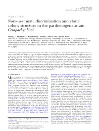 Non–Nest Mate Discrimination and Clonal Colony Structure in the Parthenogenetic Ant Cerapachys Biroi