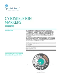 Cytoskeleton Markers