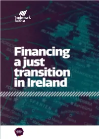 Financing a Just Transition in Ireland