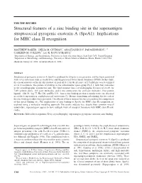 (Spea1): Implications for MHC Class II Recognition