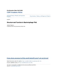 Structure and Function in Bacteriophage Phi6