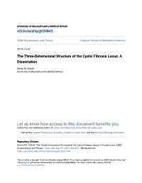 The Three-Dimensional Structure of the Cystic Fibrosis Locus: a Dissertation