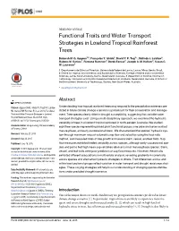 Functional Traits and Water Transport Strategies in Lowland Tropical Rainforest Trees