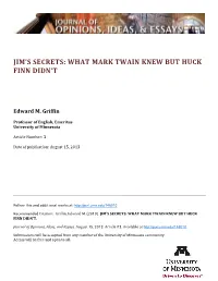 Jim's Secrets: What Mark Twain Knew but Huck Finn Didn't