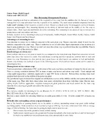 Rice Ratooning Management Practices