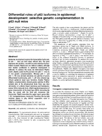 Differential Roles of P63 Isoforms in Epidermal Development: Selective Genetic Complementation in P63 Null Mice