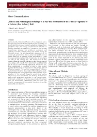 Short Communication Clinical and Pathological