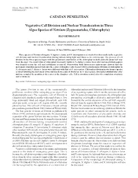 Vegetative Cell Division and Nuclear Translocation in Three Algae Species of Netrium (Zygnematales, Chlorophyta)