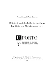 Efficient and Scalable Algorithms for Network Motifs Discovery