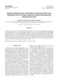Isolation and Phylogenetic Relationship of Orchid-Mycorrhiza from Spathoglottis Plicata of Papua Using Mitochondrial Ribosomal Large Subunit (Mt-Ls) DNA