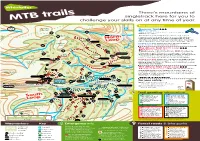 MTB Trails Challenge450 Your Skills on at Any Time of Year