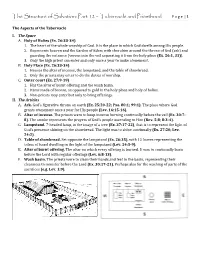 The Structure of Salvation: Part 12 – Tabernacle and Priesthood P a G E | 1