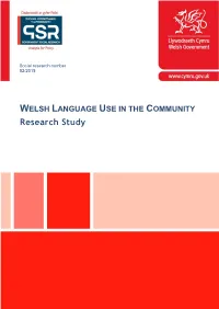 Welsh Language Use in the Community
