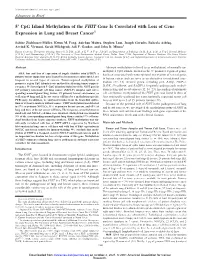 5 Cpg Island Methylation of the FHIT Gene Is Correlated with Loss Of