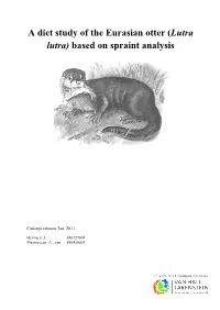 Lutra Lutra) Based on Spraint Analysis