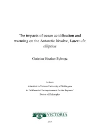 The Impacts of Ocean Acidification and Warming on the Antarctic Bivalve, Laternula Elliptica