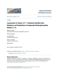 Assessment of Canine BEST1 Variations Identifies New Mutations and Establishes an Independent Bestrophinopathy Model (Cmr3)