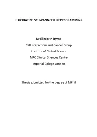 Elucidating Schwann Cell Reprogramming
