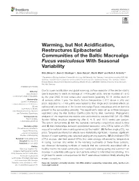 Warming, but Not Acidification, Restructures Epibacterial