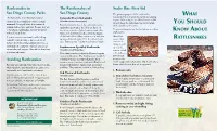What You Should Know About Rattlesnakes