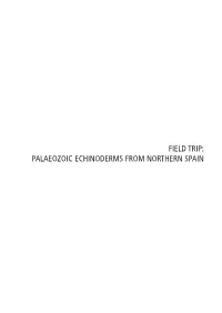 Field Trip: Palaeozoic Echinoderms from Northern Spain