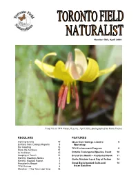 Regulars Features