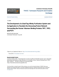 The Development of a Dual-Tag Affinity Purification System and Its