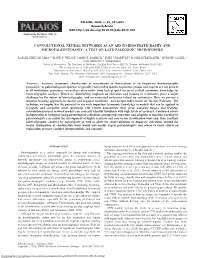 Convolutional Neural Networks As an Aid to Biostratigraphy and Micropaleontology: a Test on Late Paleozoic Microfossils