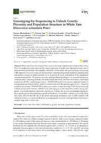 Genotyping-By-Sequencing to Unlock Genetic Diversity and Population Structure in White Yam (Dioscorea Rotundata Poir.)