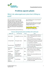 Problem Aquatic Plants