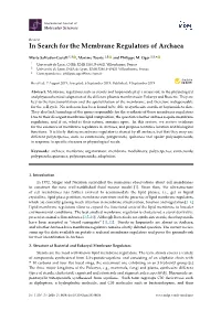 In Search for the Membrane Regulators of Archaea